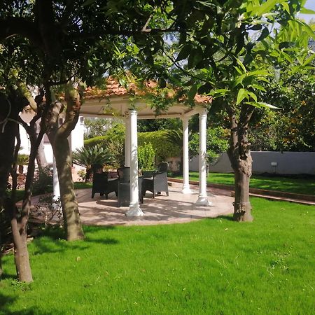 ميتا Summer Colors Rooms & Apartments المظهر الخارجي الصورة
